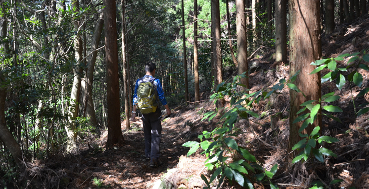 多良岳、多良岳、多良岳、多良岳、多良岳、多良岳、多良岳、多良岳、多良岳、多良岳、多良岳、多良岳、多良岳、多良岳、多良岳、多良岳、多良岳、多良岳、多良岳、多良岳、多良岳、経ヶ岳、経ヶ岳、経ヶ岳、経ヶ岳、経ヶ岳、経ヶ岳、経ヶ岳、経ヶ岳、経ヶ岳、経ヶ岳、経ヶ岳、経ヶ岳、経ヶ岳、経ヶ岳、経ヶ岳、経ヶ岳、経ヶ岳、経ヶ岳、経ヶ岳、経ヶ岳、経ヶ岳、経ヶ岳、経ヶ岳、経ヶ岳